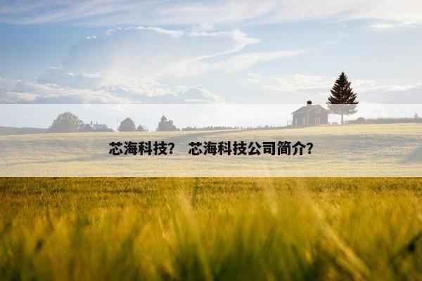 芯海科技？ 芯海科技公司简介？