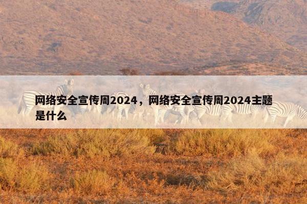 网络安全宣传周2024，网络安全宣传周2024主题是什么