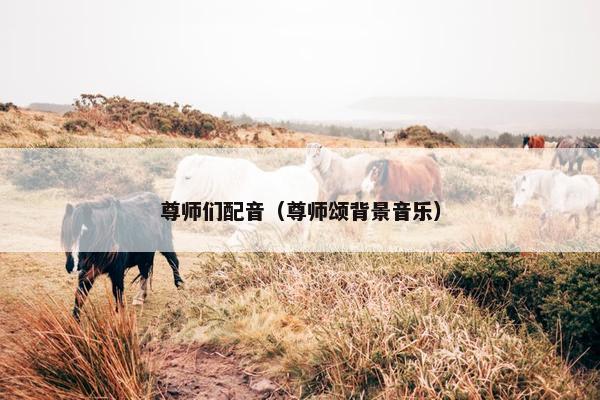 尊师们配音（尊师颂背景音乐）