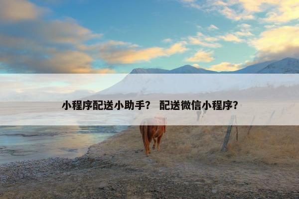 小程序配送小助手？ 配送微信小程序？