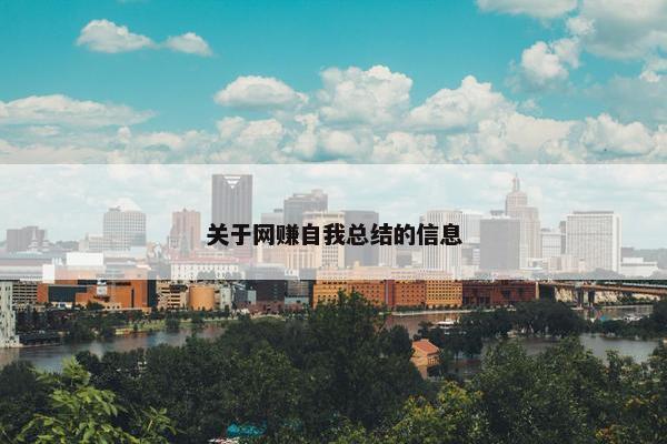 关于网赚自我总结的信息