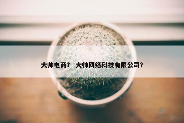 大帅电商？ 大帅网络科技有限公司？