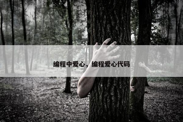 编程中爱心，编程爱心代码
