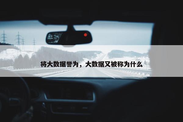 将大数据誉为，大数据又被称为什么