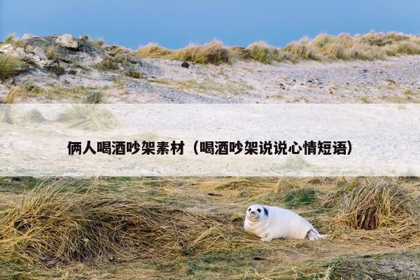 俩人喝酒吵架素材（喝酒吵架说说心情短语）