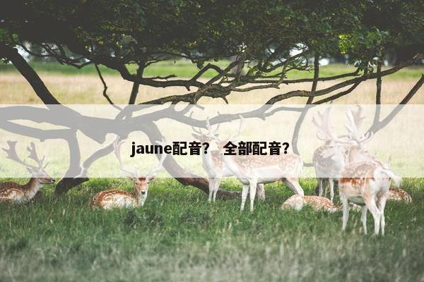 jaune配音？ 全部配音？