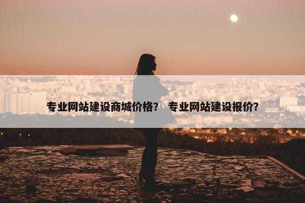 专业网站建设商城价格？ 专业网站建设报价？