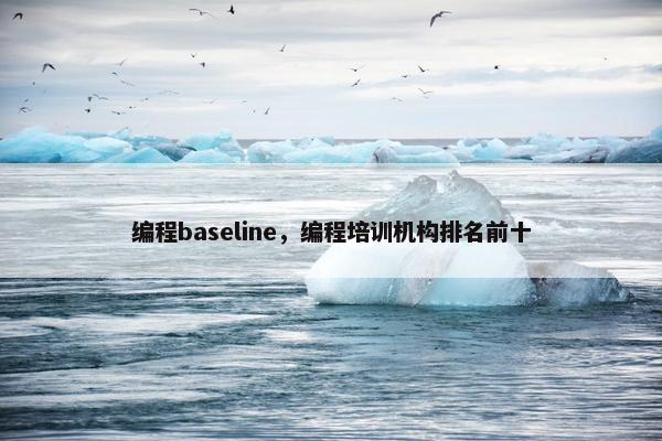 编程baseline，编程培训机构排名前十