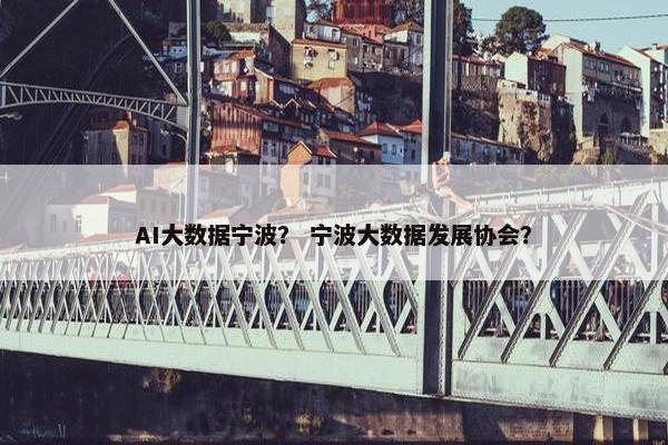 AI大数据宁波？ 宁波大数据发展协会？