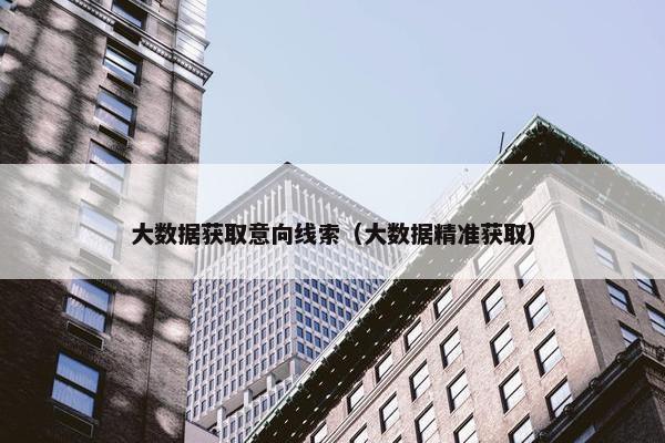 大数据获取意向线索（大数据精准获取）