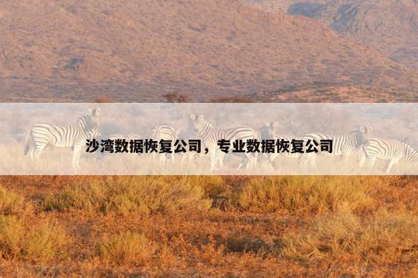 沙湾数据恢复公司，专业数据恢复公司