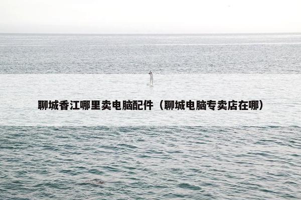 聊城香江哪里卖电脑配件（聊城电脑专卖店在哪）