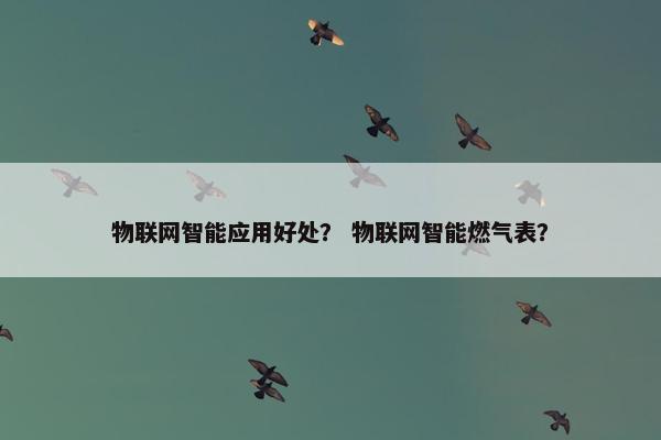 物联网智能应用好处？ 物联网智能燃气表？