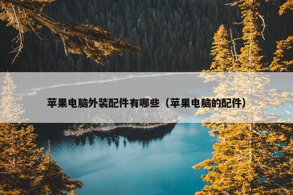 苹果电脑外装配件有哪些（苹果电脑的配件）