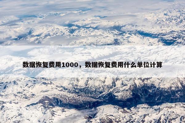 数据恢复费用1000，数据恢复费用什么单位计算