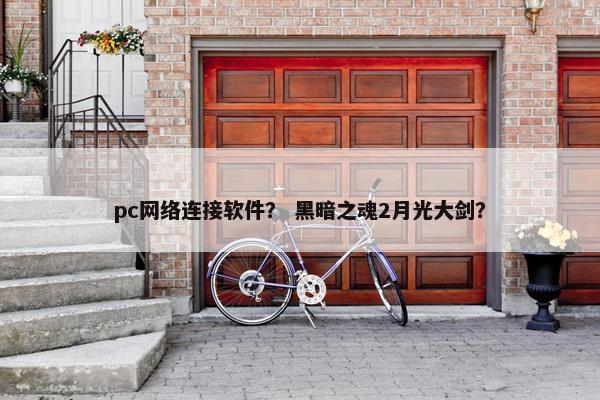 pc网络连接软件？ 黑暗之魂2月光大剑？