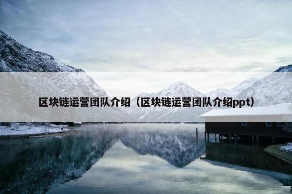 区块链运营团队介绍（区块链运营团队介绍ppt）