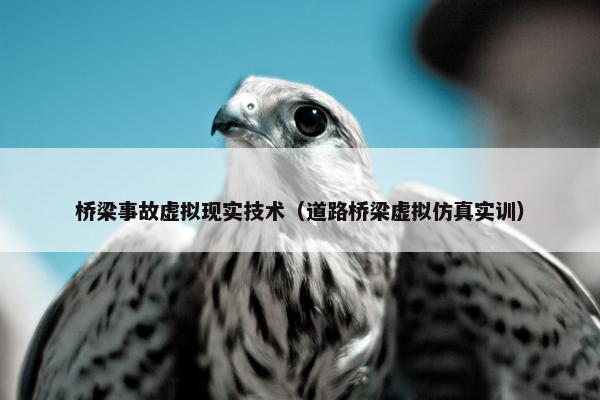 桥梁事故虚拟现实技术（道路桥梁虚拟仿真实训）