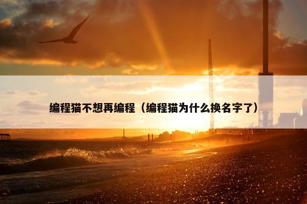 编程猫不想再编程（编程猫为什么换名字了）