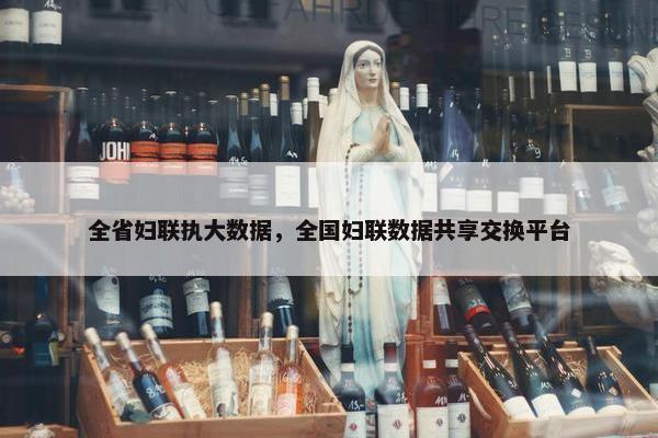全省妇联执大数据，全国妇联数据共享交换平台