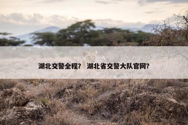湖北交警全程？ 湖北省交警大队官网？