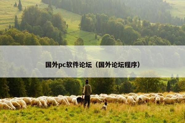 国外pc软件论坛（国外论坛程序）