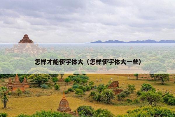 怎样才能使字体大（怎样使字体大一些）