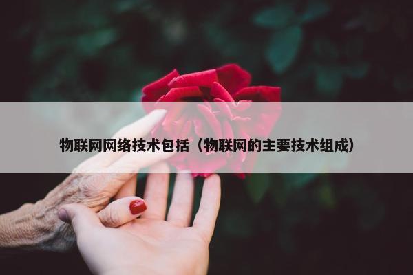 物联网网络技术包括（物联网的主要技术组成）