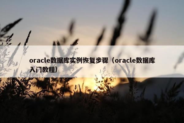 oracle数据库实例恢复步骤（oracle数据库入门教程）