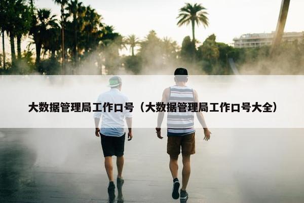 大数据管理局工作口号（大数据管理局工作口号大全）