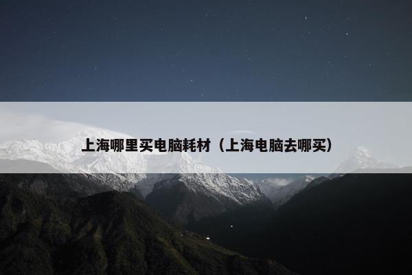 上海哪里买电脑耗材（上海电脑去哪买）