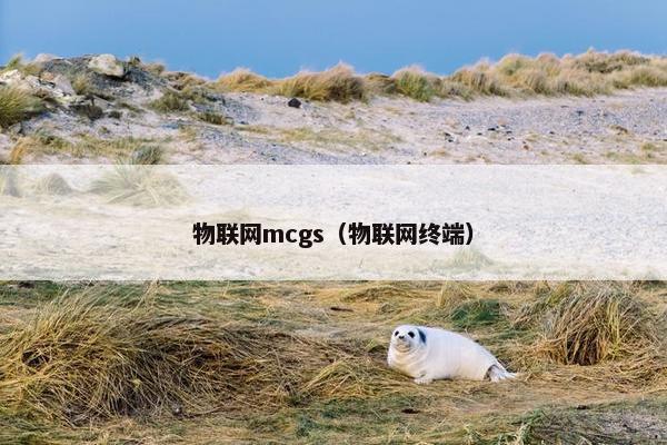 物联网mcgs（物联网终端）