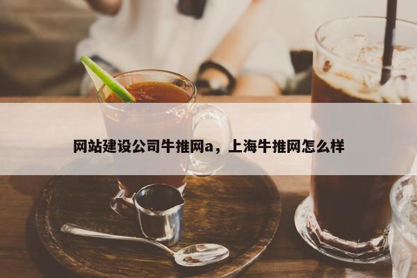 网站建设公司牛推网a，上海牛推网怎么样