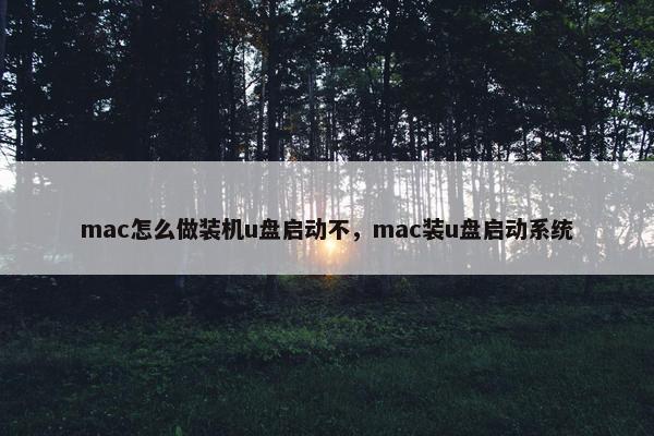 mac怎么做装机u盘启动不，mac装u盘启动系统