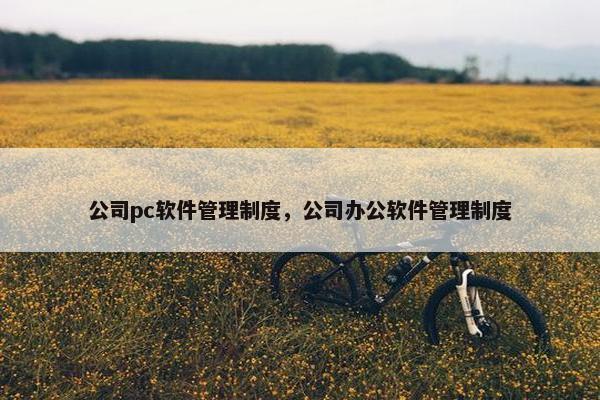 公司pc软件管理制度，公司办公软件管理制度