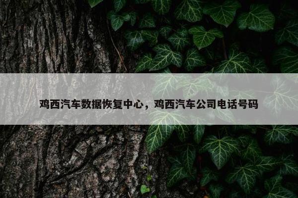 鸡西汽车数据恢复中心，鸡西汽车公司电话号码