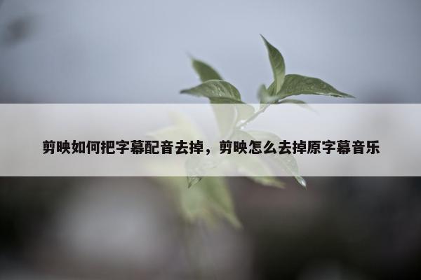 剪映如何把字幕配音去掉，剪映怎么去掉原字幕音乐