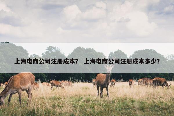 上海电商公司注册成本？ 上海电商公司注册成本多少？