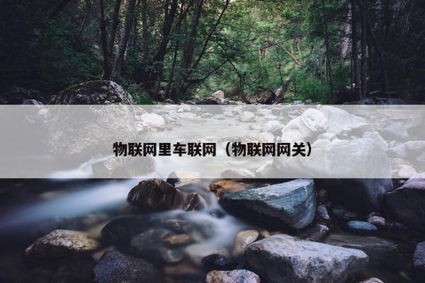 物联网里车联网（物联网网关）