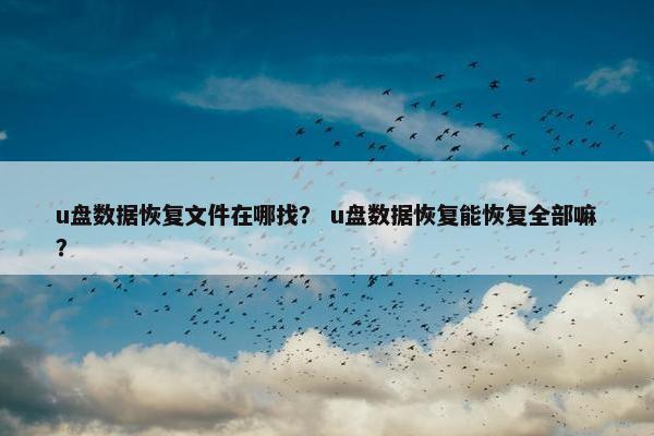 u盘数据恢复文件在哪找？ u盘数据恢复能恢复全部嘛？