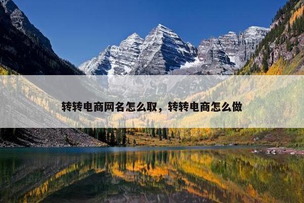转转电商网名怎么取，转转电商怎么做