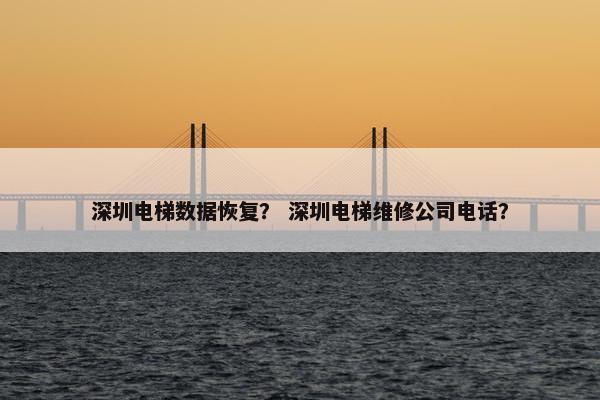 深圳电梯数据恢复？ 深圳电梯维修公司电话？