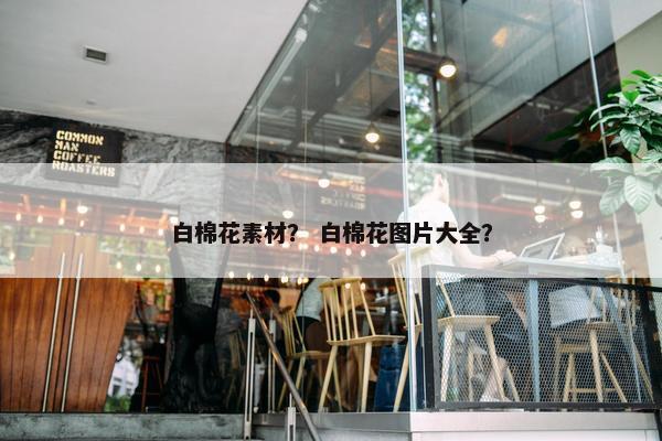 白棉花素材？ 白棉花图片大全？
