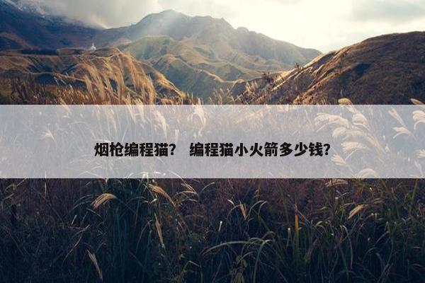 烟枪编程猫？ 编程猫小火箭多少钱？
