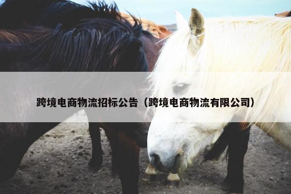 跨境电商物流招标公告（跨境电商物流有限公司）