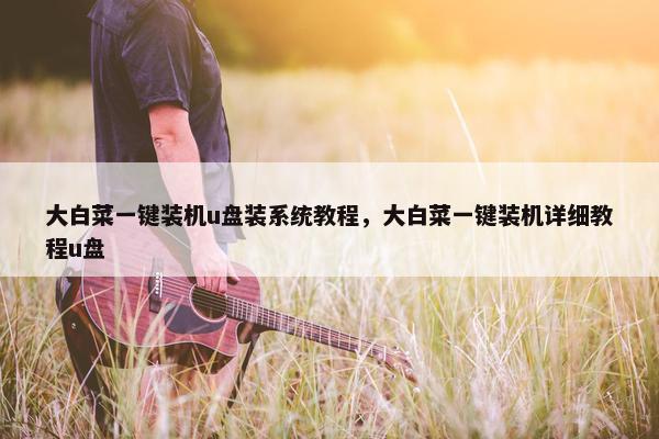 大白菜一键装机u盘装系统教程，大白菜一键装机详细教程u盘