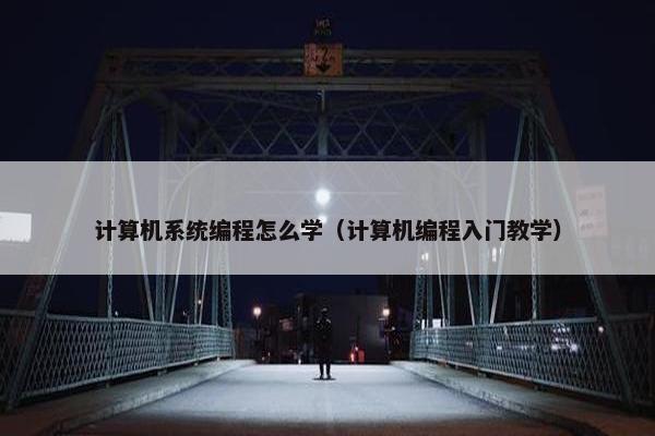 计算机系统编程怎么学（计算机编程入门教学）