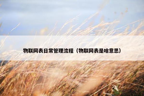 物联网表日常管理流程（物联网表是啥意思）