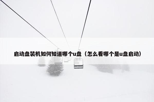 启动盘装机如何知道哪个u盘（怎么看哪个是u盘启动）
