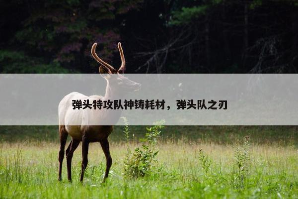 弹头特攻队神铸耗材，弹头队之刃